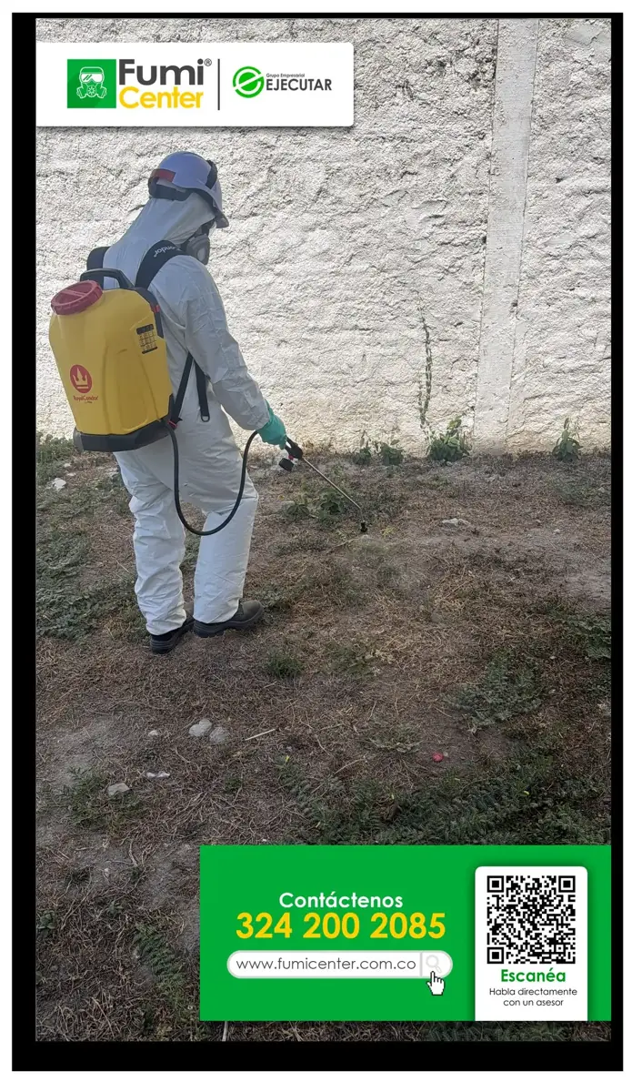 Técnico de FumiCenter con traje de protección trabajando en la base de un muro exterior